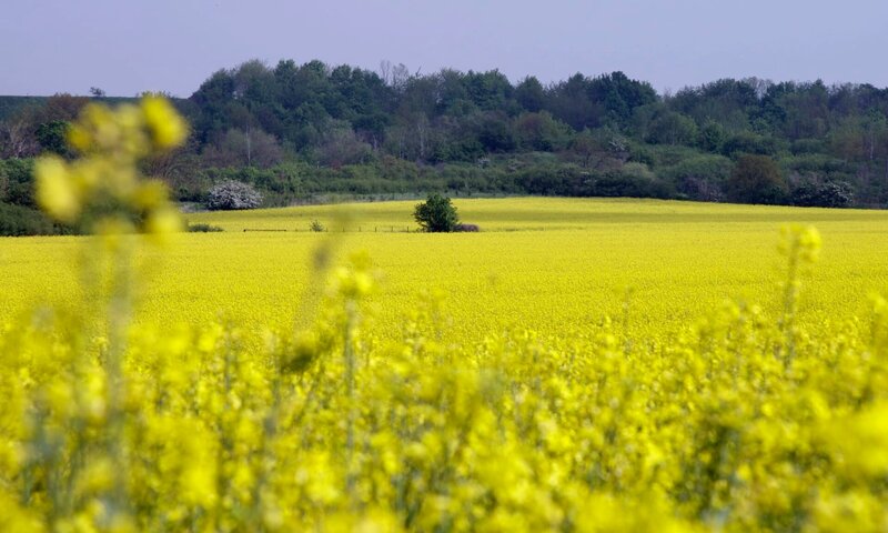 Frühling! NRW im Takt der Jahreszeiten – Bild: WDR/​2Pilots