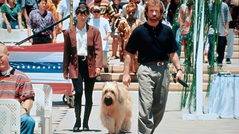 Nach dem Tod seines Kollegen muss sich der Polizist Jake (Chuck Norris) um dessen Hund Einstein kümmern. Gemeinsam mit Lous Enkel und der Polizistin Savannah sucht Jake gefährliche Bombenlegerbande und stoppt sie. – Bild: RTL Zwei