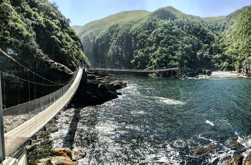 Südafrikas Kap-Region – Bild: ZDF und HR/​Wolfgang Müller.