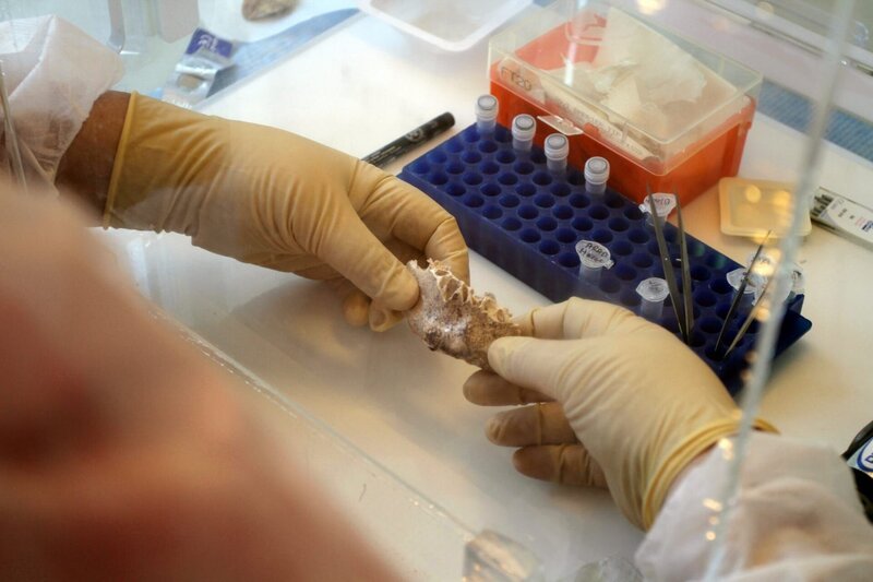DNA-Test von Knochen des letzten Königs des alten Israel, Antigonus. – Bild: ORF/​ZDF/​Associated Producers Ltd.