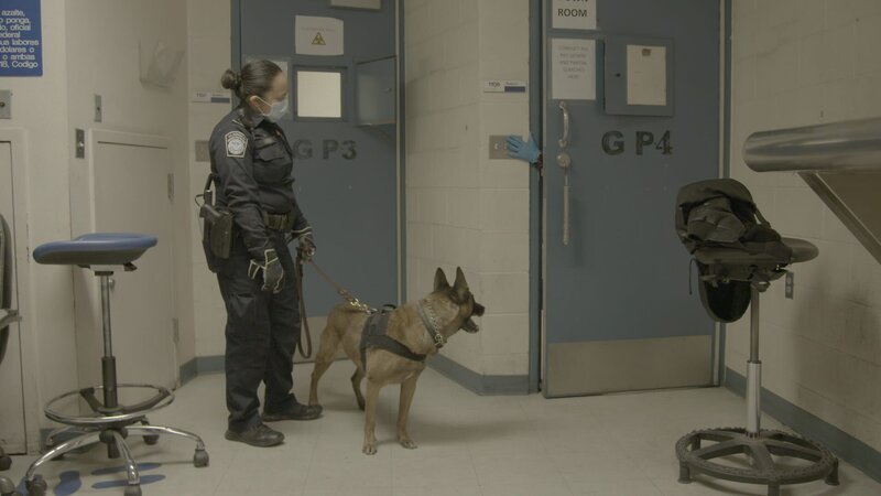 Officer Romero waits outside of the pat down room with her K9. (National Geographic) – Bild: National Geographic /​ National Geographic