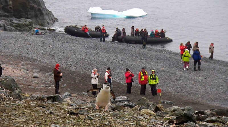 Anlegen auf der Insel der Pinguine. – Bild: SWR/​Fandango