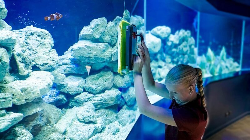Im Aquarium braucht es Muskelkraft, denn die Scheiben des riesigen Rundbeckens müssen geputzt werden – und zwar in Höchstgeschwindigkeit! – Bild: MDR/​Cine Impuls Leipzig GmbH