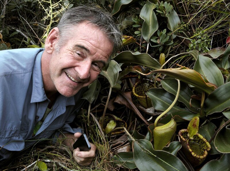 Am Mount Victoria, in über 1600 Metern Höhe, findet Nigel Marven eine seltene Kannenpflanze: Nepenthes attenboroughii. – Bild: phoenix/​ZDF/​Michael Hutchinson