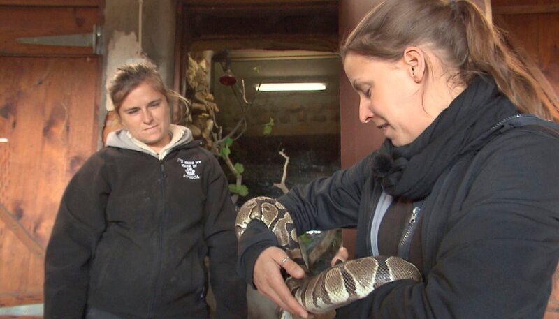 Susa Ladwig (re.) hat ihren ersten Kontakt mit einer Würgeschlange. – Bild: NDR/​Vincent TV GmbH
