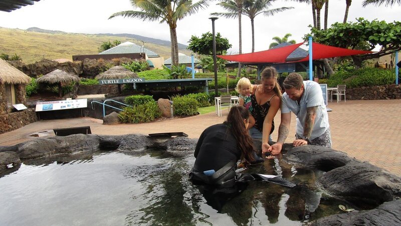 Clients Jordan and MArina Scott take their daughter, Vayda, to Maui Ocean Center in Maui. As Seen on HGTV’s Hawaii Life – Bild: 2018, Scripps Networks, LLC. All Rights Reserved.