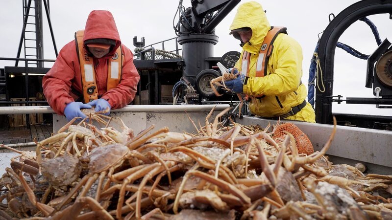 Wizard crew Gary and Robby sorting crab. – Bild: Warner Bros. Discovery