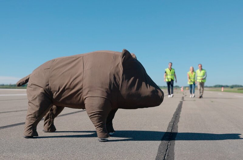  Sicherheits-Test: Schwein trifft Mensch. So lässt sich ein Wildtier-Unfall vermeiden. – Bild: SWR /​ SWR Presse/​Bildkommunikation