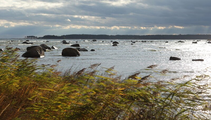 ARD/​NDR WILDES BALTIKUM, „Die Küste“, am Sonntag (19.10.14) um 19:20 Uhr im ERSTEN. Der Lahemaa Nationalpark im Norden Estlands ist geprägt von riesigen Felsbrocken. – Bild: BR/​NDR/​Christoph Hauschild