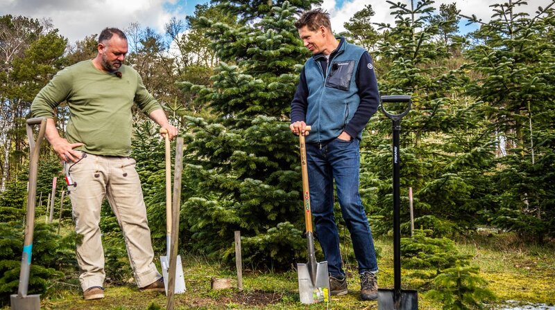 Rasch durch den Garten S03E02 Folge 16 fernsehserien.de