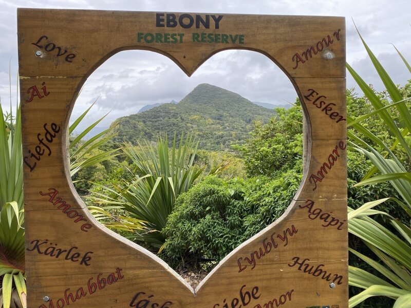 Das Ebony Forest Reserve ist ein Naturschutzgebiet für endemische mauritische Arten mit einem rehabilitierten indigenen Wald in Chamarel im Südwesten von Mauritius. – Bild: Bewegte Zeiten Filmproduktion GmbH/​BR/​Tabea Hentschke