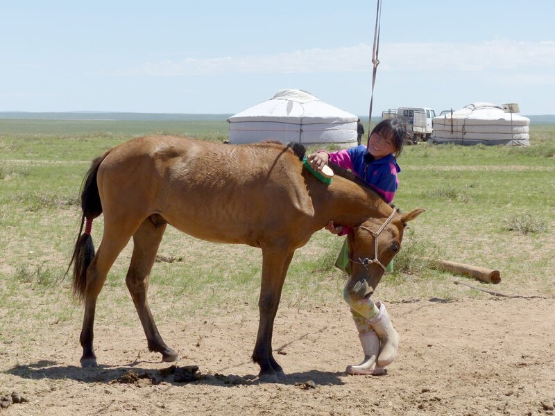 Die tägliche Pferdepflege bei ihrem Lieblingspferd macht Erdene viel Spaü.Â – Bild: rbb/​Erik LĂ¶tsch
