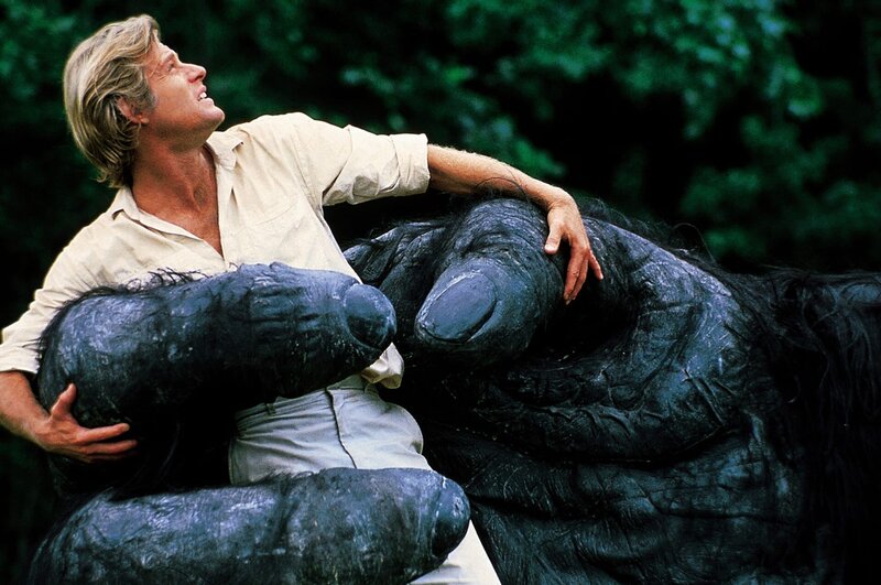 King Kong lebt – Bild: ® Studiocanal GmbH