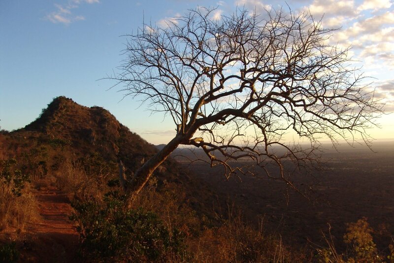 Kenya. – Bild: CC0 Creative Commons Free for commercial use No attribution required