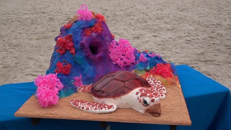 Beauty of Sea Turtle Cake. – Bild: International Networks /​ Discovery Communications