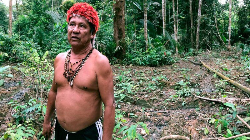 Ureinwohner vor einer zerstörten Brasilianischen Regenwaldfläche – Bild: phoenix/​ZDF