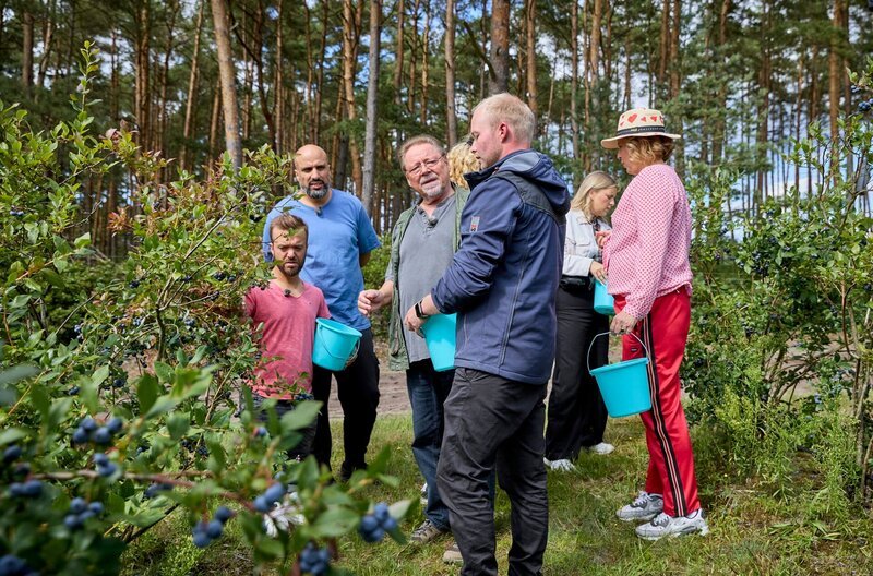 Die Camper pflücken auf einer Plantage frische Blaubeeren. In der Mitte Hannes Badenhop, Obstgärtner, seine Familie führt den Betrieb. – Bild: NDR/​Daniel Wolke