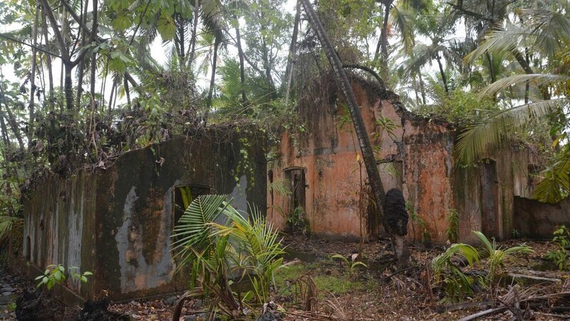 Ruinen in Französisch-Guyana. – Bild: RTL /​ WAGTV