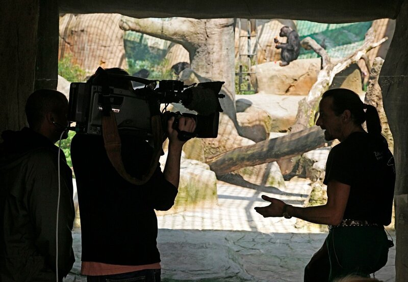 Dreharbeiten am Schimpansen-Gehege. – Bild: Radio Bremen/​Ingo Wagner /​ RB TV/​Pressestelle