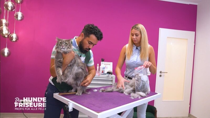 Francisco de Vasconecellos (38) mit Assistentin und Katze Finja +++ – Bild: RTL /​ Mut zur Lücke