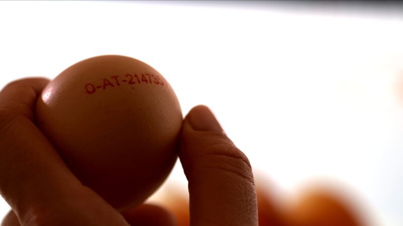 Eikennzeichnung. – Bild: ORF/D5 Produktion Eikennzeichnung. – Bild: ORF/D5 Produktion