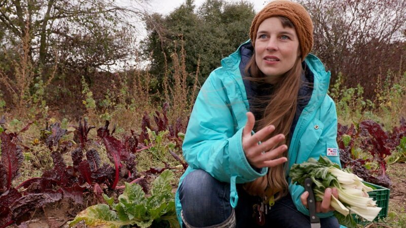 Nicole Klaski rettet auf einem Bauernhof bei der Ernte übrig gebliebenes Gemüse und bietet es in ihrem Laden an. – Bild: SRF/​ZDF/​Jörg Adams
