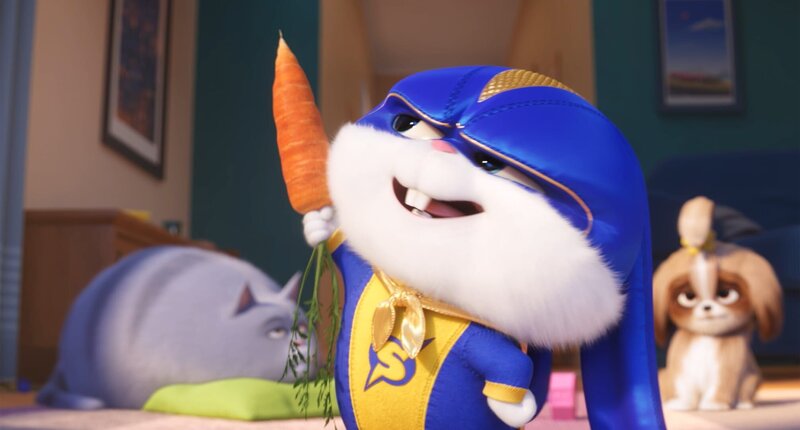 Pets 2 – Bild: CH Media