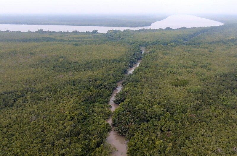 Die zwischen Indien und Bangladesch gelegenen Sundarbans beherbergen einen Mangrovenwald von über 10.000 Quadratkilometern. – Bild: Les Films en Vrac /​ Die zwischen Indien und Bangladesch gelegenen Sundarbans beherbergen einen Mangrovenwald von über 10.000 Quadratkilometern.