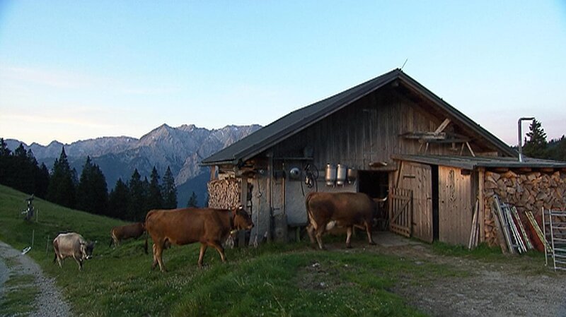 Auf Almen und Berghütten – Bild: BR