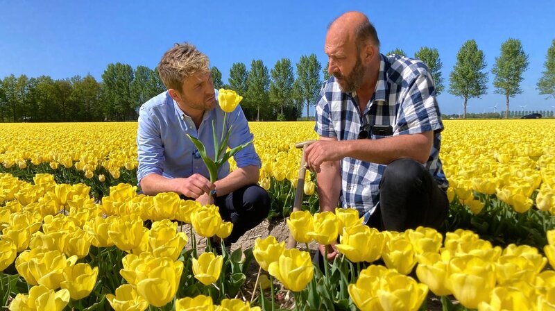 Die Nordostpolder-Region am Ijsselmeer ist das größte Tulpenanbaugebiet der Niederlande. Johannes Zenglein erfährt von Tulpenfarmer Jeen Bruinsma Wissenswertes rund um die farbenfrohen Blüten. – Bild: NDR/​SWR/​Bavaria Entertainment GmbH
