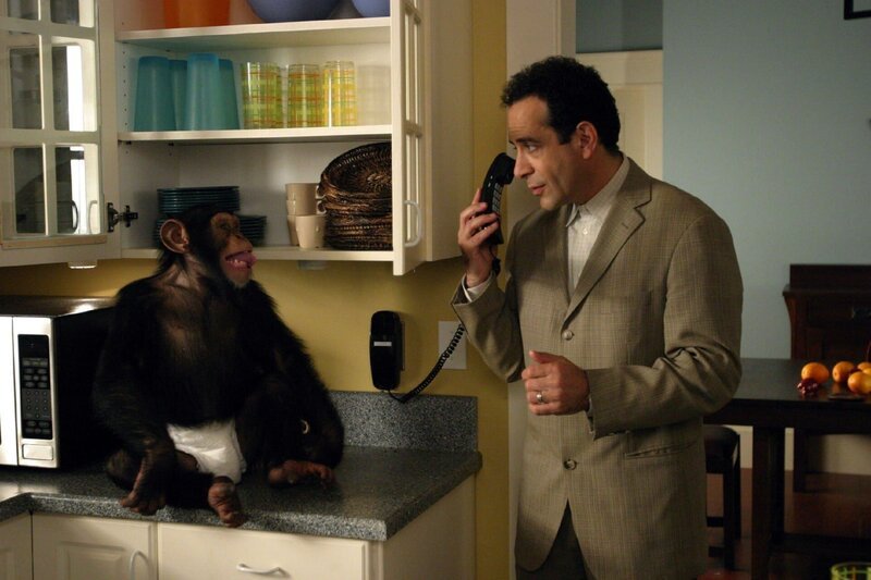 Kann Adrian Monk (Tony Shalhoub, r.) die Unschuld des Schimpansen Darwin (l.) beweisen? – Bild: SUPER RTL