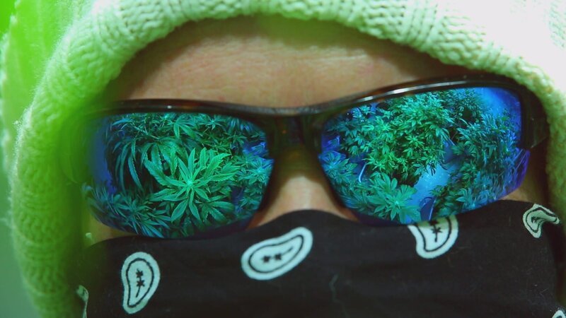 BOSTON, MASS.- ‚The Farmer,‘ an East coast grower with marijuana reflections in his sunglasses. – Bild: National Geographic Channels /​ GIOVANNI ULLERI