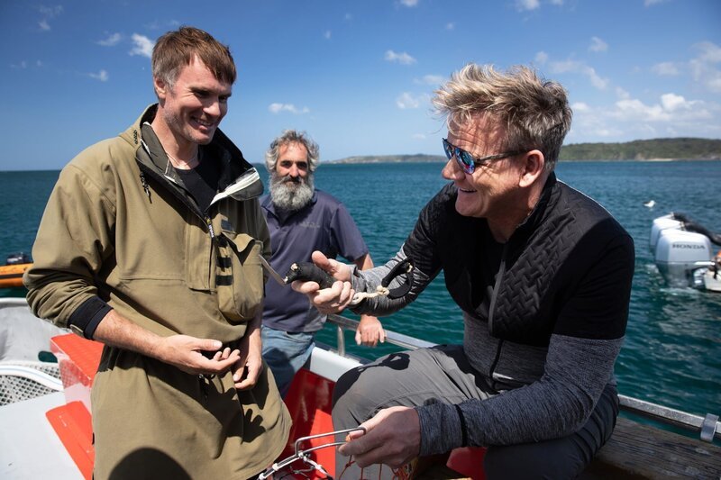New Zealand – Fluff (center) stands by while Zane (L) and Gordon Ramsay (R) prepare to freedive for pāua, regarded as one of the ocean’s greatest delicacies. – Bild: Studio Ramsay and all3media international Lizenzbild frei