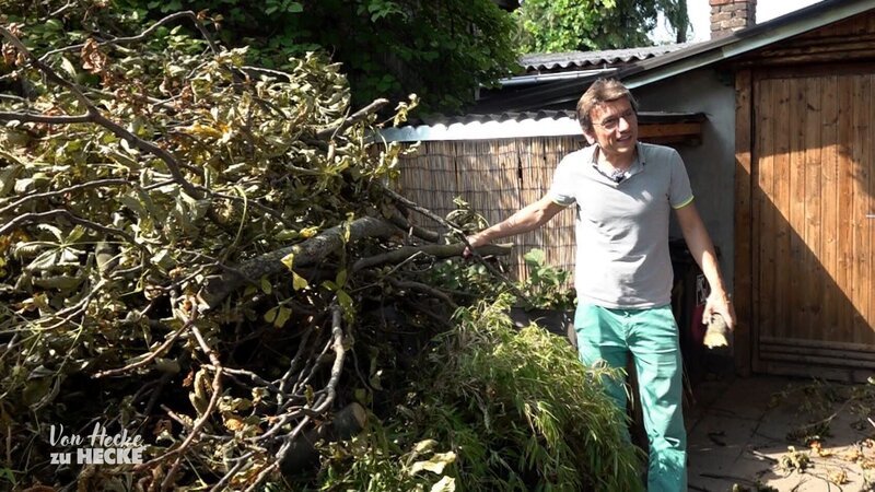 An Roberts Kastanienbaum mussten infolge des heftigen Sturms einige Äste entfernt werden. Diese landeten zum Teil leider auf dem Grundstück. – Bild: RTL Zwei