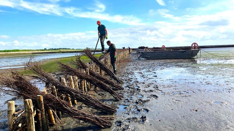 Sylt - Mehr als ein Klischee – Bild: NDR/​nonfictionplanet/​Florian Melzer