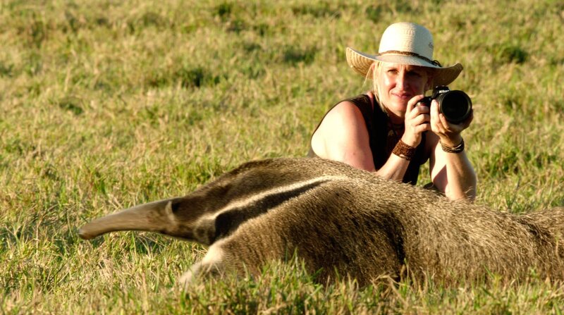 Unter Raubkatzen und Ameisenbären – Bild: BR/​DocLights GmbH/​NDR/​NDR Naturfilm/​coraxfilm GmbH