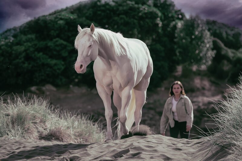In einer Vision weist das Pferd Mystic Issie (Macey Chipping) den richtigen Weg. – Bild: ZDF und Geoffrey Short.