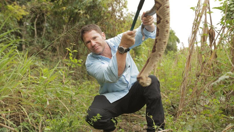 Der Abenteurer und Naturforscher Steve Backshall macht sich auf die Reise nach Mexiko, immer auf der Suche nach den gefährlichsten Tieren. – Bild: ITV Studios Limited