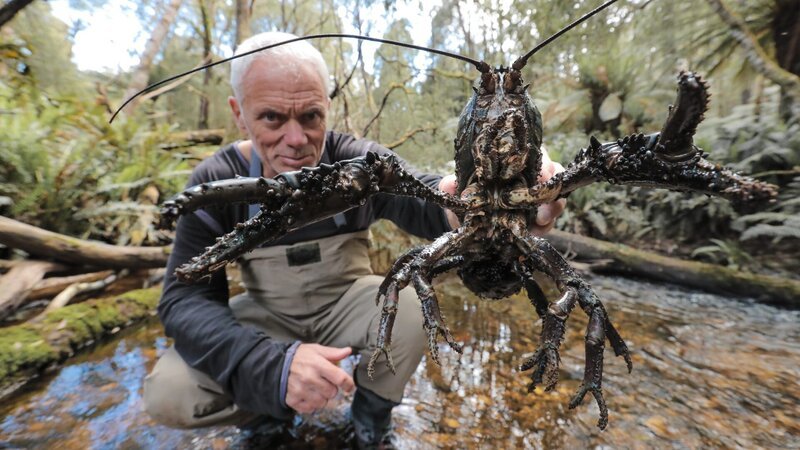 Jeremy Wade is behind the middle of the giant freshwater crayfish. – Bild: Discovery Communications, LLC