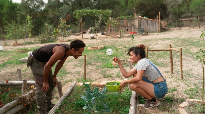 Nina (38) und Stevo (42) kehren Deutschland den Rücken und versuchen ihr Glück in Portugal. Vor drei Monaten kauften sie 65.000 Quadratmeter Land. Hier wollen sie autark leben, eigenes Obst und Gemüse anbauen, aber Obstanbau, Selbstversorgung und Tierhaltung haben sie nicht gelernt. Sie ackern, damit ihr Traum Wirklichkeit wird. – Bild: WDR/​sagamedia