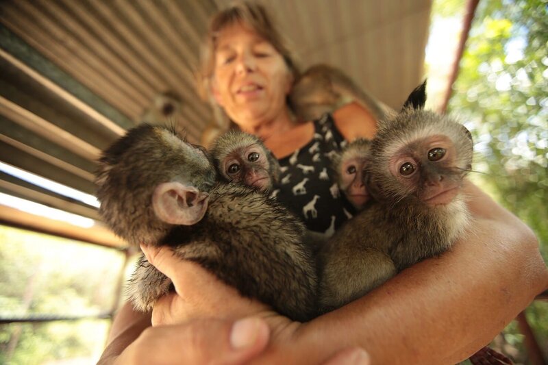 Debbie. – Bild: Unknown