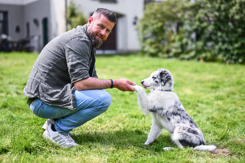 Der Welpentrainer Auf Die Pfoten Fertig Los