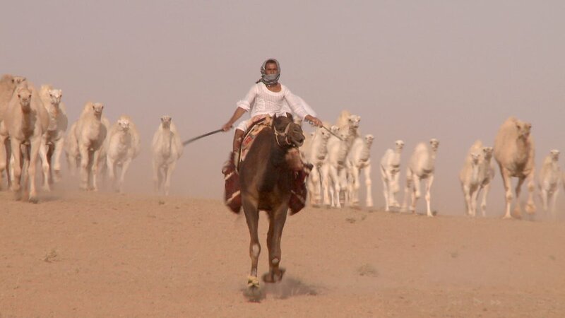 In schaukelndem Galopp reitet ein Beduine mit seiner Kamelherde durch den staubigen Wüstensand. – Bild: ORF/​Mischief Films