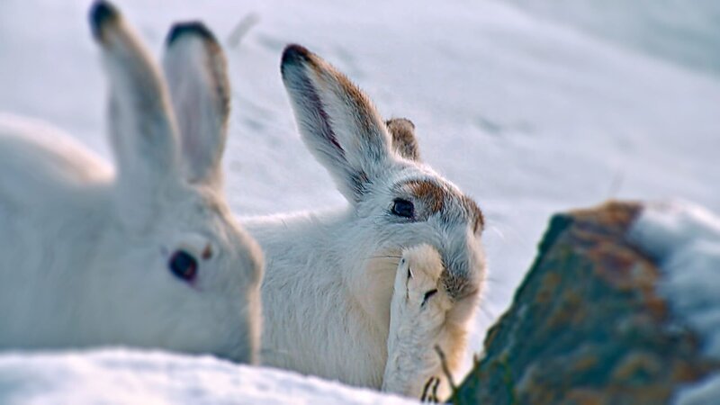 Dolomiten - Sagenhaftes Juwel der Alpen – Bild: ORF/​Kurt Mayer Film