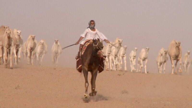 Beduine mit Kameleherde. – Bild: ZDF und ORF/​Mischief Films