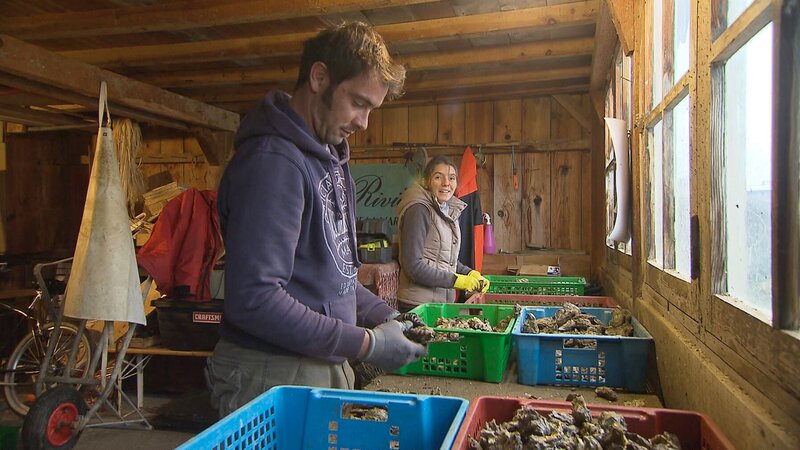 Die Austern von Arcachon – Bild: ARTE /​ MedienKontor /​ François Reinhardt