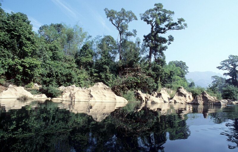 „Laos Wunderland“, Es gibt Länder, die sich auf geheimnisvolle Weise der globalen Aufmerksamkeit entziehen. Sie bewahren Schätze, die anderswo längst verschwunden sind. Endlose Wildnis, weite Urwälder, phantastische Artenvielfalt, mythische Tiere und stolze, geheimnisvolle Völker. Ein solches Land ist Laos. Der Mekong ist einer der letzten ungezähmten Ströme der Erde. Gespeist von Hunderten Nebenflüssen bildet er eines der artenreichsten Süßwassersysteme der Erde, vergleichbar nur mit dem Kongo oder dem Amazonas. Die Fauna der Urwälder scheint einem Märchenbuch entsprungen: Tiger und Leoparden, Millionen regenbogenfarbener Schmetterlinge groß wie Handteller und einige der seltensten Tierarten unseres Planeten leben in diesem unzugänglichen Paradies. Diese Dokumentation folgt einer Gruppe von Wissenschaftlern der World Conservation Society auf der Suche nach den seltensten Arten der Welt. – Bild: ORF/​Cosmos Fa