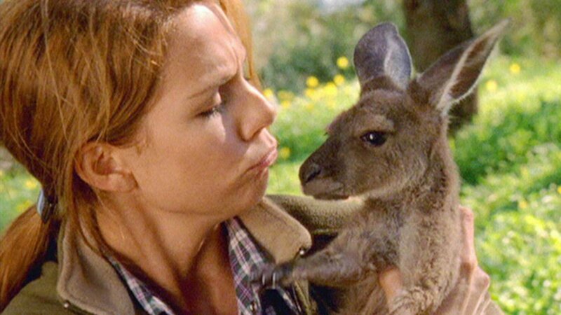 Da bist du ja wieder! Kate (Michala Banas) hält das kleine ausgebüxte Känguru glücklich wieder im Arm! – Bild: TVNOW