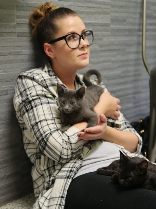 An interested adopter holding a kitten. – Bild: Animal Planet /​ Discovery Communications