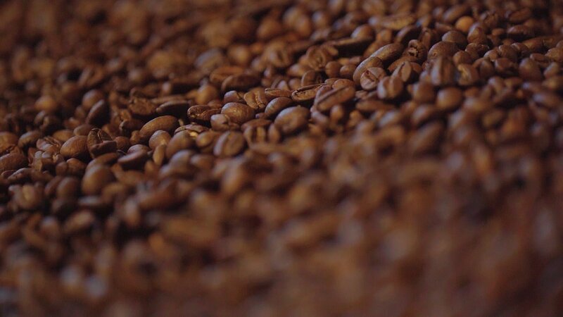 Wie gut sind die Kaffeebohnen von Starbucks? – Bild: ZDF und Markus von Ahnen./​Markus von Ahnen